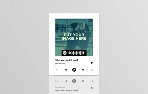 Spotify 20 x 25 cm