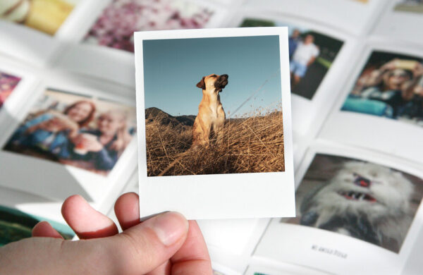 Pack 10 Polaroid 7,5 x 10cm - Imagen 3